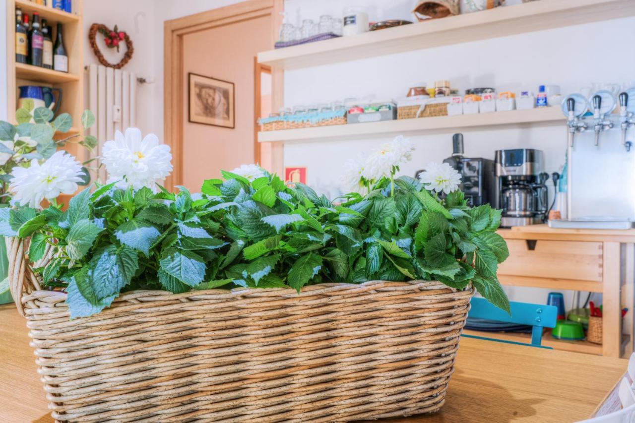 Bed and Breakfast La Casa Sul Mare Civitavecchia Zewnętrze zdjęcie